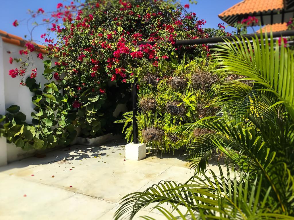 Bed and Breakfast Casa Ines Санта-Марта Экстерьер фото